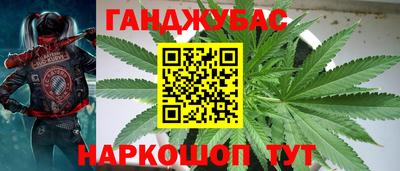 тгк Аргун