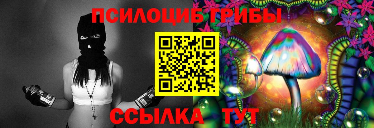 Гатчина  сколько стоит  Вход с VPN  Псилоцибиновые грибы Psilocybe 
