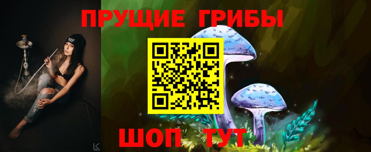 Галлюциногенные грибы Cubensis Гатчина